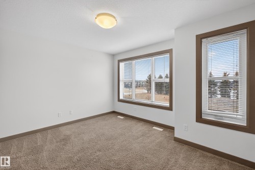 This room features carpeted flooring, a flush mount ceiling light fixture, and two windows with blinds - 1649 Cunningham Way, Edmonton, AB - Indoor Photo Showing Other Room