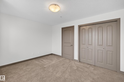 This room features plush carpeting, a ceiling-mounted light fixture, and two panel doors - 1649 Cunningham Way, Edmonton, AB - Indoor Photo Showing Other Room