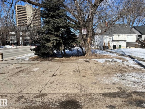 The property features a concrete paved area with visible cracks and areas of discoloration, alongside a landscaped section with a mature evergreen tree - 8915 99 Street Nw, Edmonton, AB 