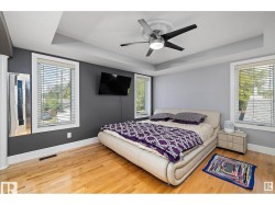 Bedroom featuring a raised ceiling, light wood-style flooring, multiple windows, and a ceiling fan - 