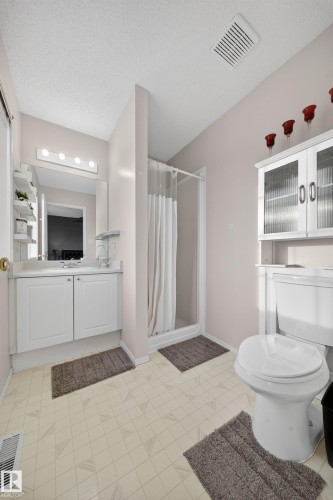 207 River Point(E), Edmonton, AB - Indoor Photo Showing Bathroom