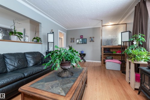 12836 107 Street, Edmonton, AB - Indoor Photo Showing Living Room