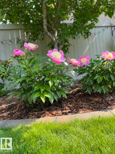 2525 Cameron Ravine Landing, Edmonton, AB - Outdoor