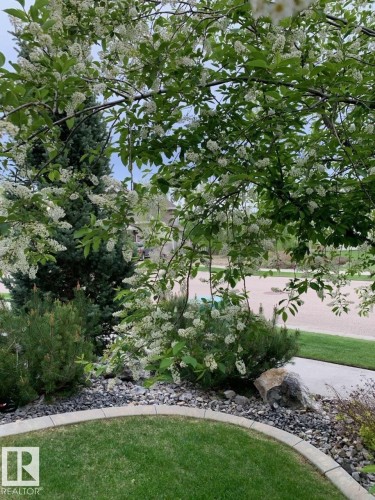 2525 Cameron Ravine Landing, Edmonton, AB - Outdoor