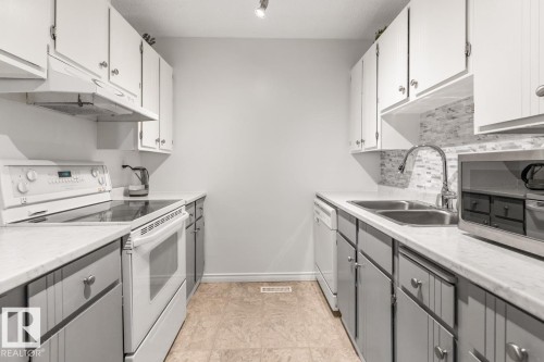 103 10528 29 Avenue, Edmonton, AB - Indoor Photo Showing Kitchen With Double Sink