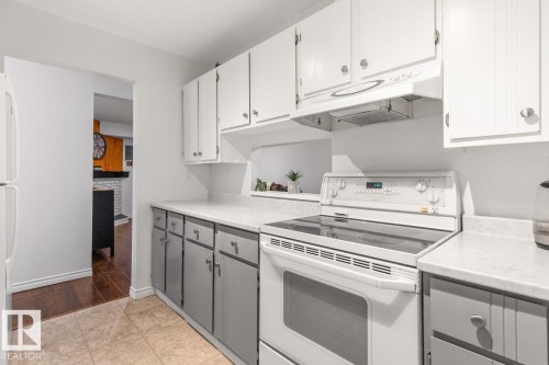 103 10528 29 Avenue, Edmonton, AB - Indoor Photo Showing Kitchen