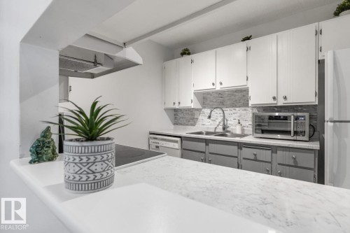 103 10528 29 Avenue, Edmonton, AB - Indoor Photo Showing Kitchen With Double Sink