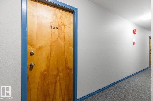 103 10528 29 Avenue, Edmonton, AB - Indoor Photo Showing Other Room