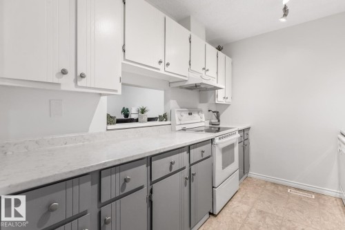 103 10528 29 Avenue, Edmonton, AB - Indoor Photo Showing Kitchen
