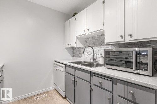 103 10528 29 Avenue, Edmonton, AB - Indoor Photo Showing Kitchen With Double Sink