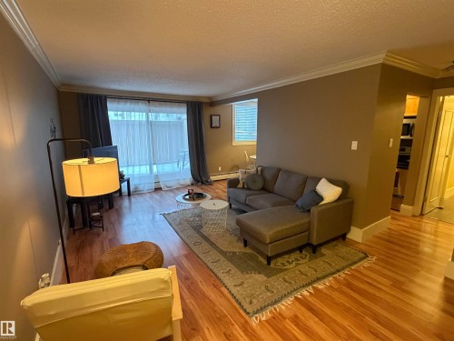 102 11303 103 Avenue, Edmonton, AB - Indoor Photo Showing Living Room
