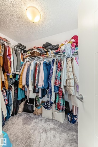 Walk in closet with light colored carpet - 3059 Checknita Way, Edmonton, AB - Indoor With Storage
