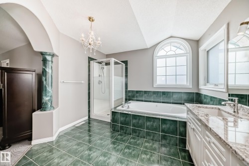 170 Blackburn Drive W, Edmonton, AB - Indoor Photo Showing Bathroom