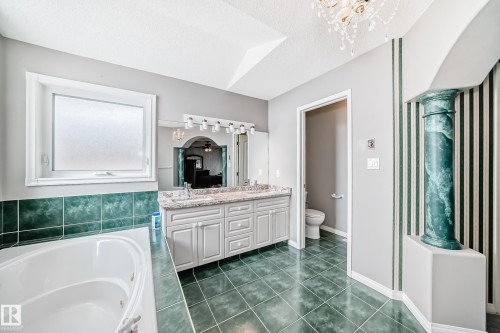 170 Blackburn Drive W, Edmonton, AB - Indoor Photo Showing Bathroom
