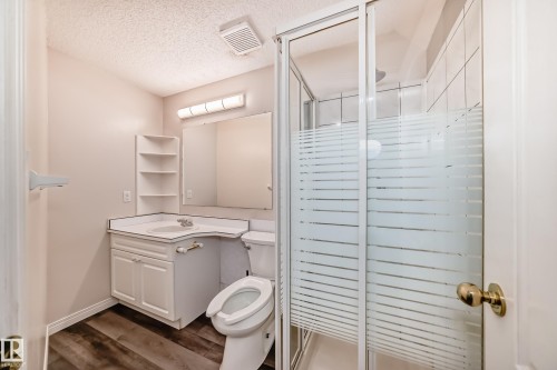 Bathroom in basement. - 170 Blackburn Drive W, Edmonton, AB - Indoor Photo Showing Bathroom