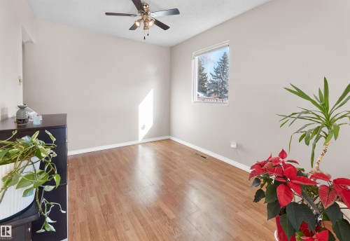 10928 36A Avenue, Edmonton, AB - Indoor Photo Showing Other Room