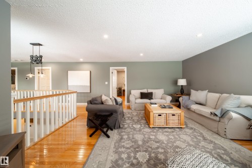 family room - 8332 120 Street, Edmonton, AB - Indoor Photo Showing Living Room