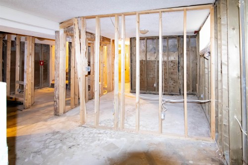 11029 95 Street, Edmonton, AB - Indoor Photo Showing Basement