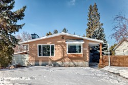 9136 141 Street NW  Edmonton, AB T5R 0L4