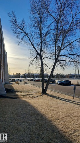 The property features an extensive lawn area and a mature tree, with a parking lot visible in the background - 12 11265 31 Avenue, Edmonton, AB - Outdoor With View
