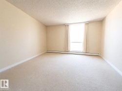 Window-equipped room with neutral wall paint and plush carpeting - 