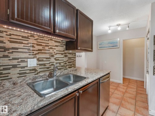 319 2323 119 Street, Edmonton, AB - Indoor Photo Showing Kitchen With Double Sink
