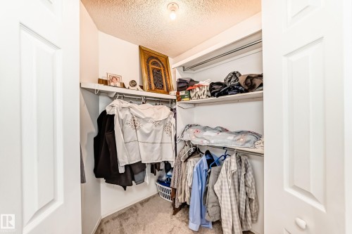 Walk-in closet featuring carpeted flooring, white walls, and built-in shelving with hanging rods - 11532 9 Avenue, Edmonton, AB - Indoor With Storage