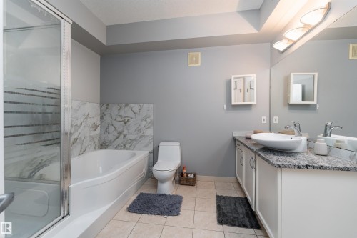 108 8619 111 Street, Edmonton, AB - Indoor Photo Showing Bathroom
