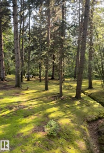 View of grassy yard - Edmonton, AB - Outdoor With View