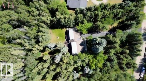 Bird's eye view of a tree filled landscape - 14 Wedgewood Crescent Nw, Edmonton, AB 