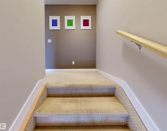 Stairway featuring carpet floors and baseboards - 