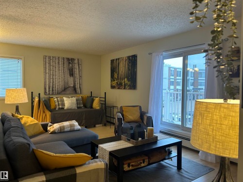 203 6310 101 Avenue, Edmonton, AB - Indoor Photo Showing Living Room