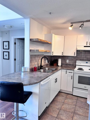 506 10046 110 Street, Edmonton, AB - Indoor Photo Showing Kitchen With Double Sink