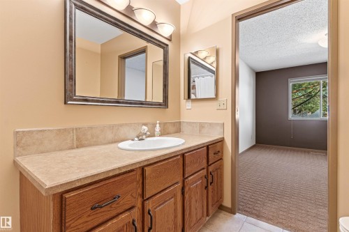 205 Oeming Road, Edmonton, AB - Indoor Photo Showing Bathroom