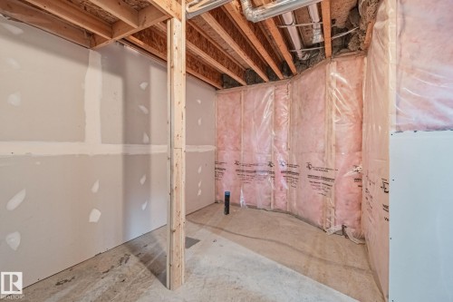 11 3710 Allan Drive, Edmonton, AB - Indoor Photo Showing Basement