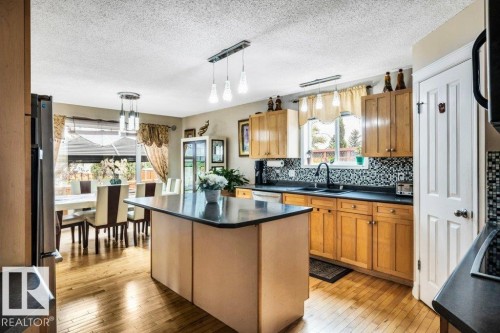 3740 29 Street, Edmonton, AB - Indoor Photo Showing Kitchen With Double Sink