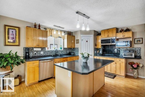 3740 29 Street, Edmonton, AB - Indoor Photo Showing Kitchen With Double Sink