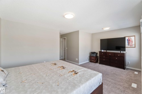 435 41 Avenue, Edmonton, AB - Indoor Photo Showing Bedroom
