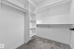 Spacious closet featuring light carpet - 