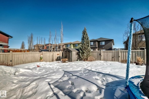 The property features a fenced yard with a storage shed and an evergreen tree - 11 Etoile Cres N, St. Albert, AB - Outdoor