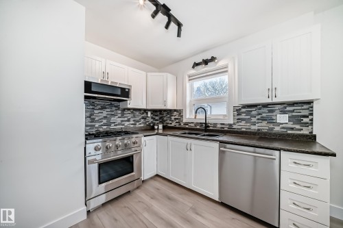 10703 65 Avenue, Edmonton, AB - Indoor Photo Showing Kitchen With Double Sink