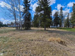 106 2 Street  Rural Wetaskiwin County, AB T0C 0T0