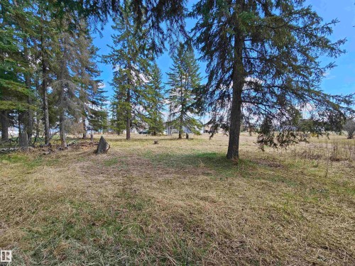 106 2 Street, Rural Wetaskiwin County, AB 