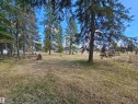 106 2 Street, Rural Wetaskiwin County, AB 