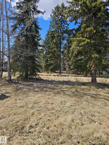 106 2 Street, Rural Wetaskiwin County, AB 