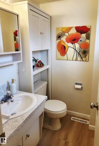 14315 58 Street, Edmonton, AB - Indoor Photo Showing Bathroom