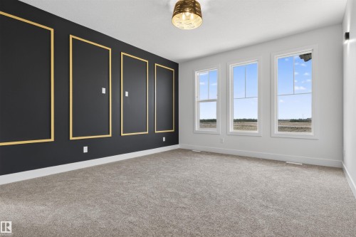 Accent wall featuring dark paint with gold trim paneling - 63 Jubilation Drive, St. Albert, AB - Indoor Photo Showing Other Room