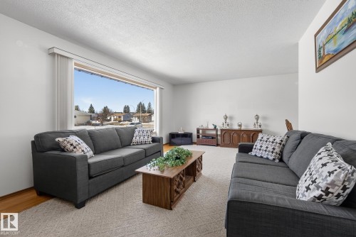 9145 152 Street, Edmonton, AB - Indoor Photo Showing Living Room