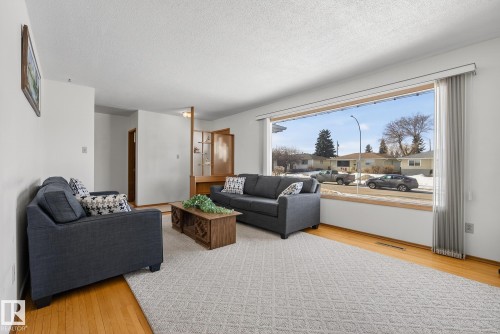 9145 152 Street, Edmonton, AB - Indoor Photo Showing Living Room