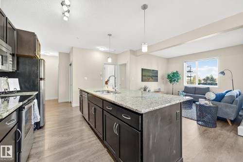247 308 Ambleside Link, Edmonton, AB - Indoor Photo Showing Kitchen With Double Sink With Upgraded Kitchen